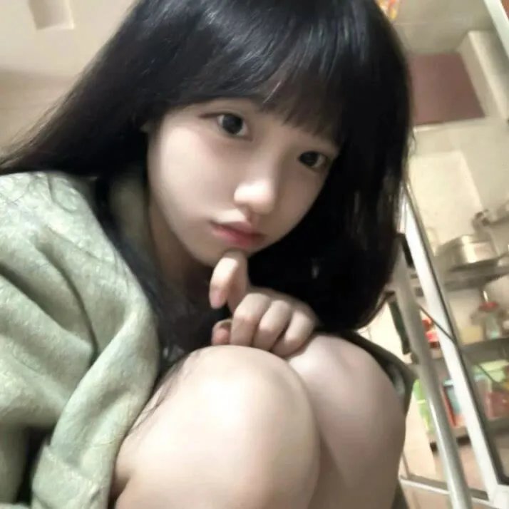 大明天子
