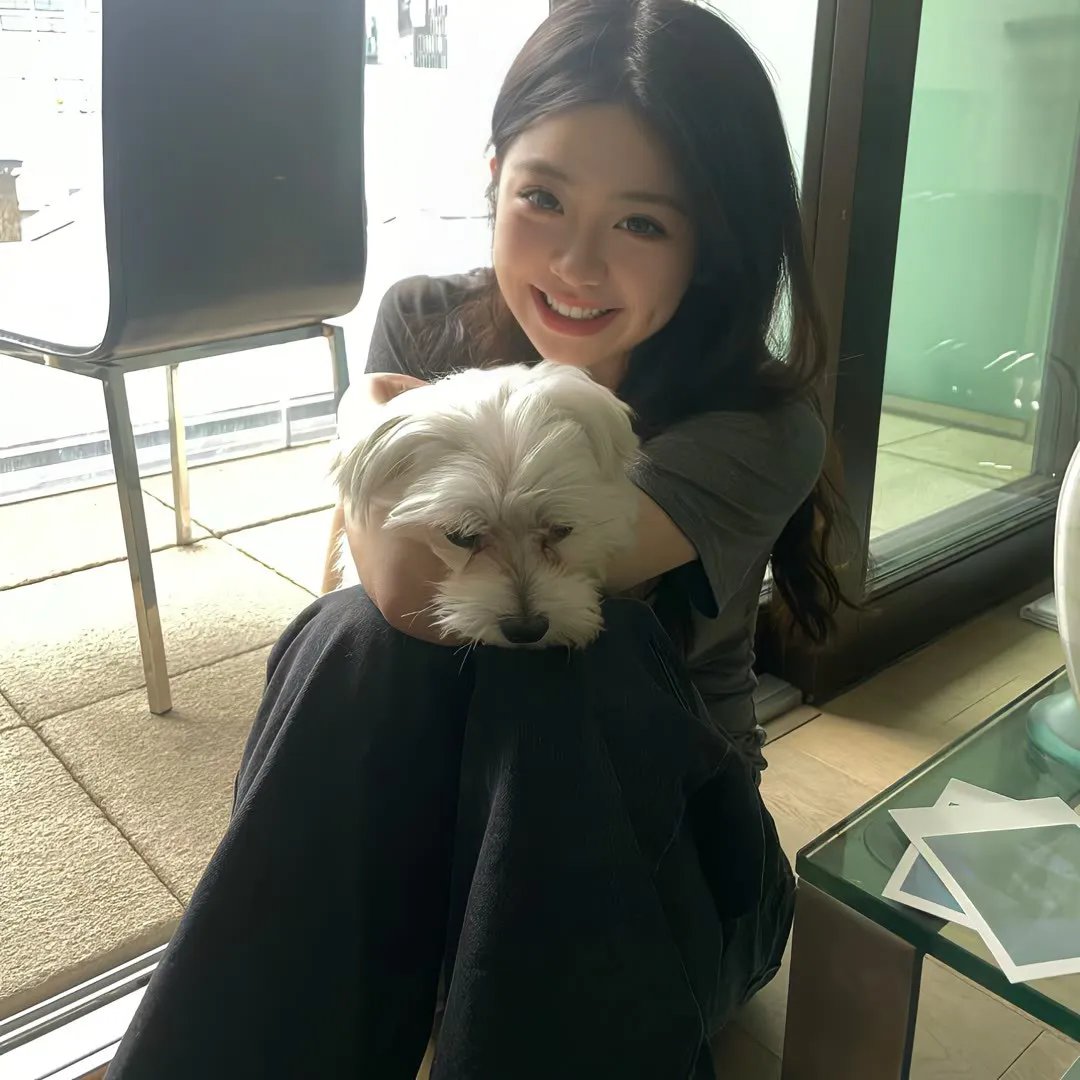 百战雄狮